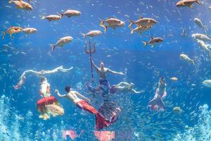 Trọn bộ trải nghiệm độc nhất biến Phú Quốc trở thành điểm đến nhất định phải thử mùa hè này 14 tron bo trai nghiem doc nhat bien phu quoc tro thanh diem den nhat d handuchai